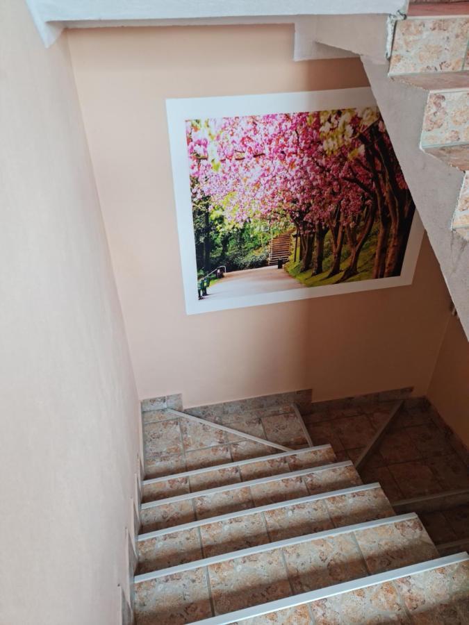 Apartman'S Ana Pale-Oc Jahorina No.2 Zewnętrze zdjęcie